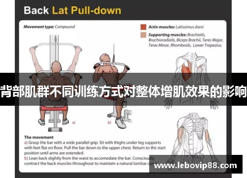 背部肌群不同训练方式对整体增肌效果的影响