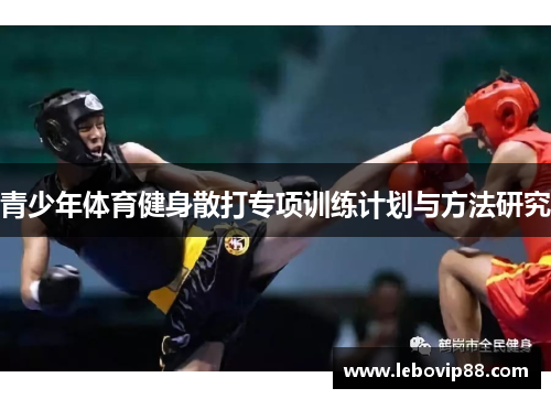 青少年体育健身散打专项训练计划与方法研究